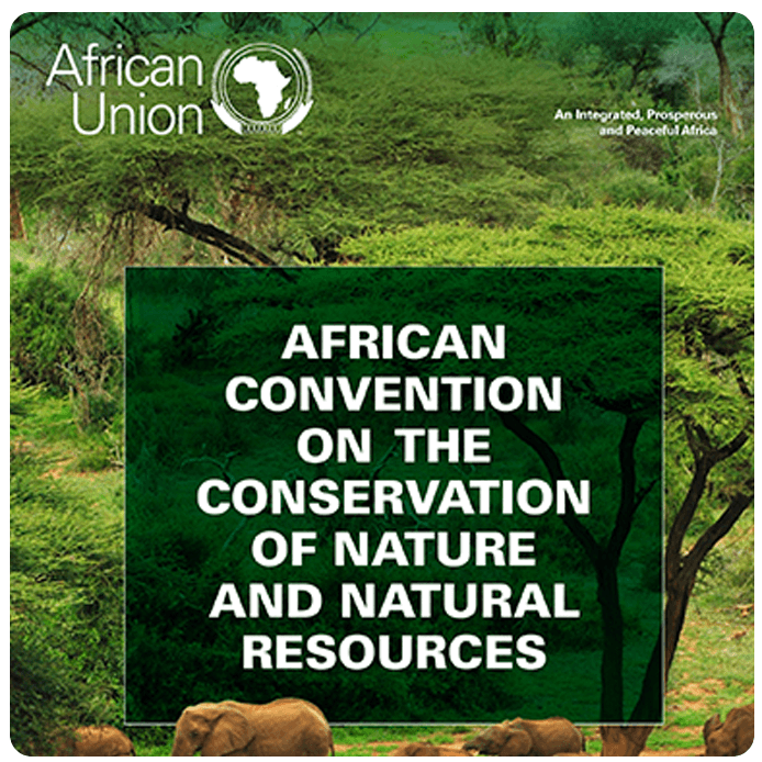 African Convention on the Conservation of Nature and Natural Resources (2013)